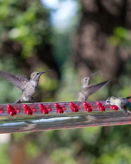 Flower Bar Hummingbird Feeder - Libiyi