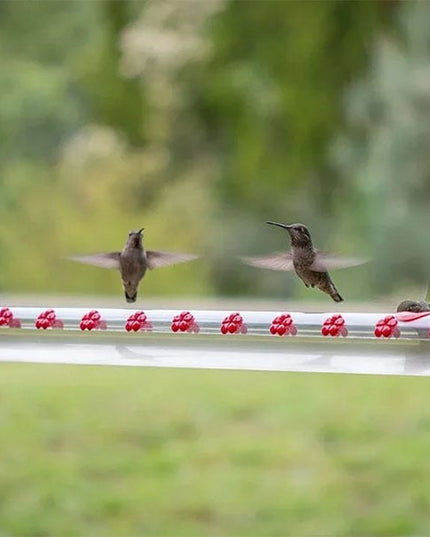 Flower Bar Hummingbird Feeder - Libiyi