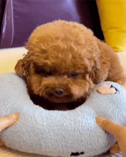 Libiyi Pet Pillow - Libiyi