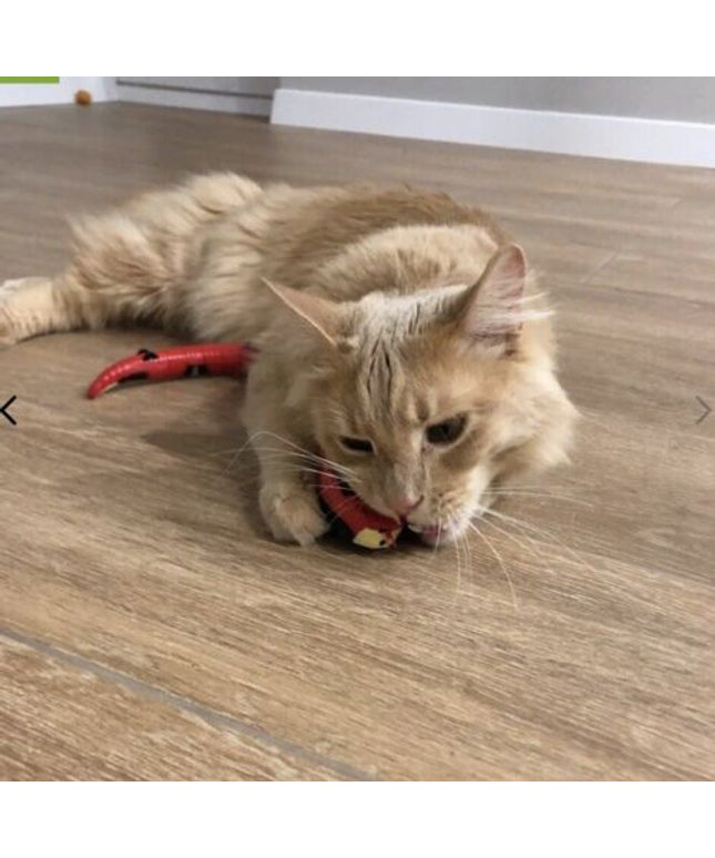 Joyhnny Smart Snake Toy - Libiyi